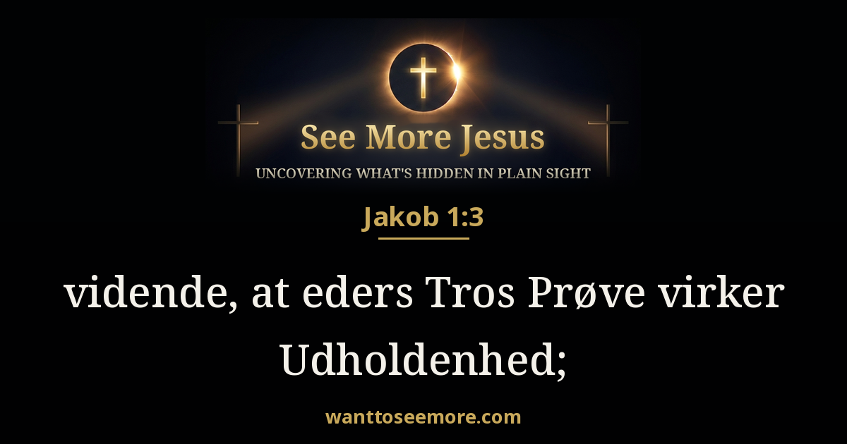 James 1:3