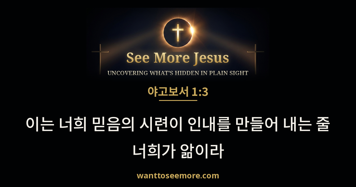 James 1:3