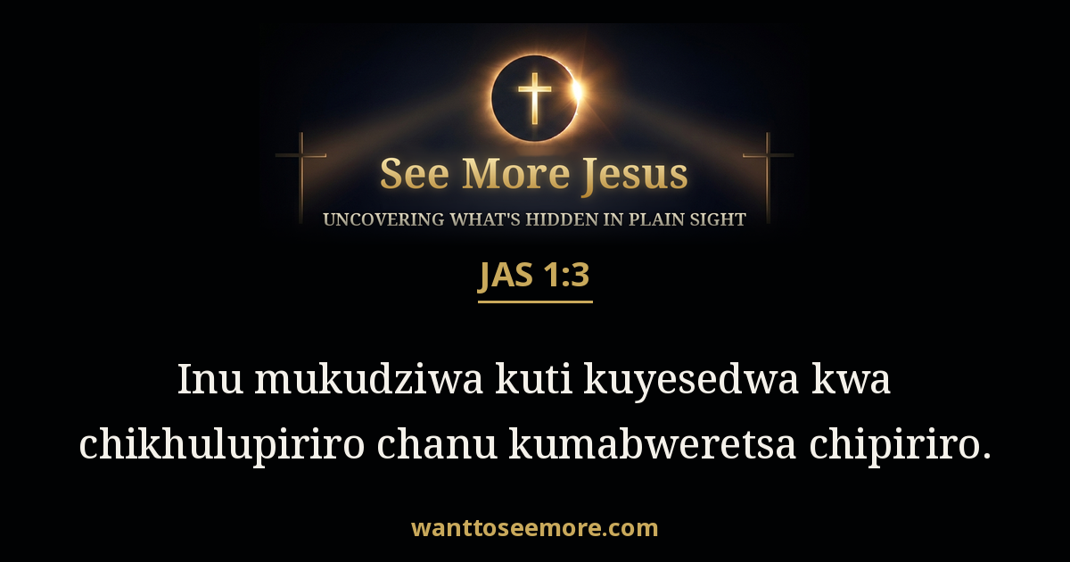 James 1:3