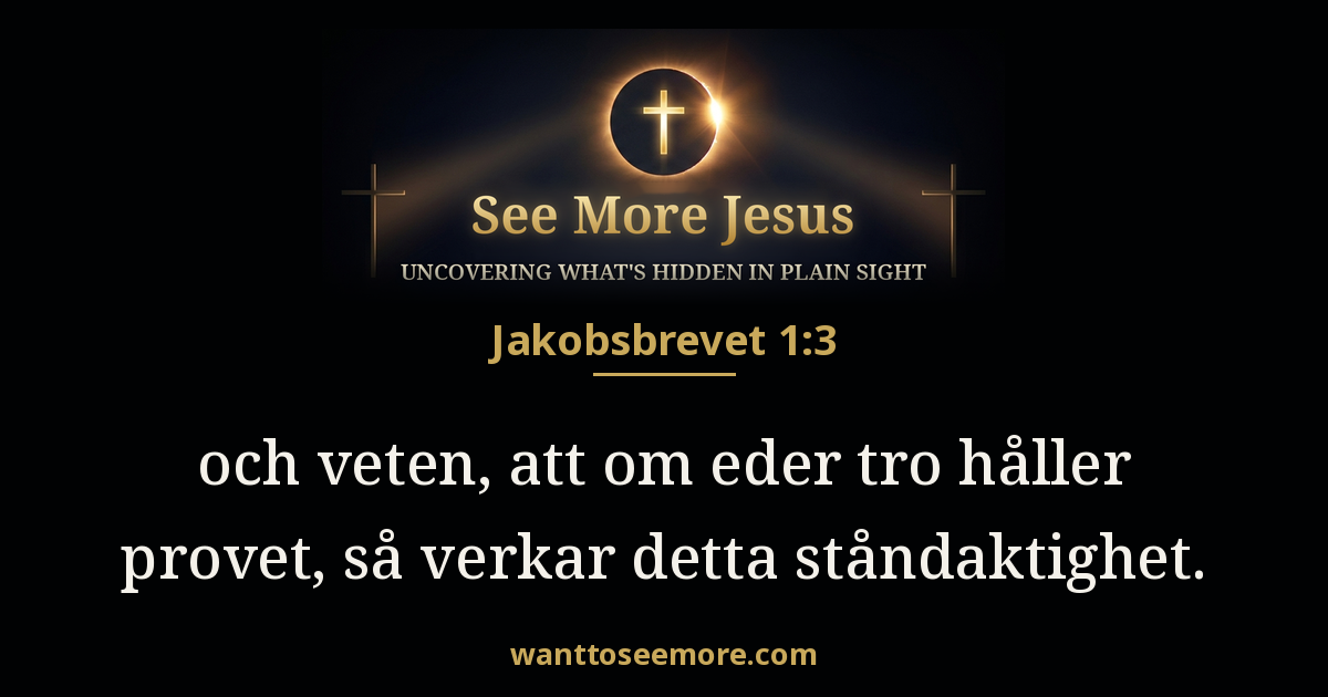 James 1:3