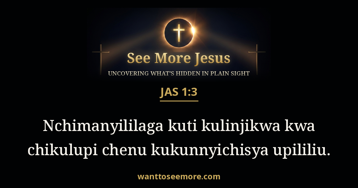 James 1:3