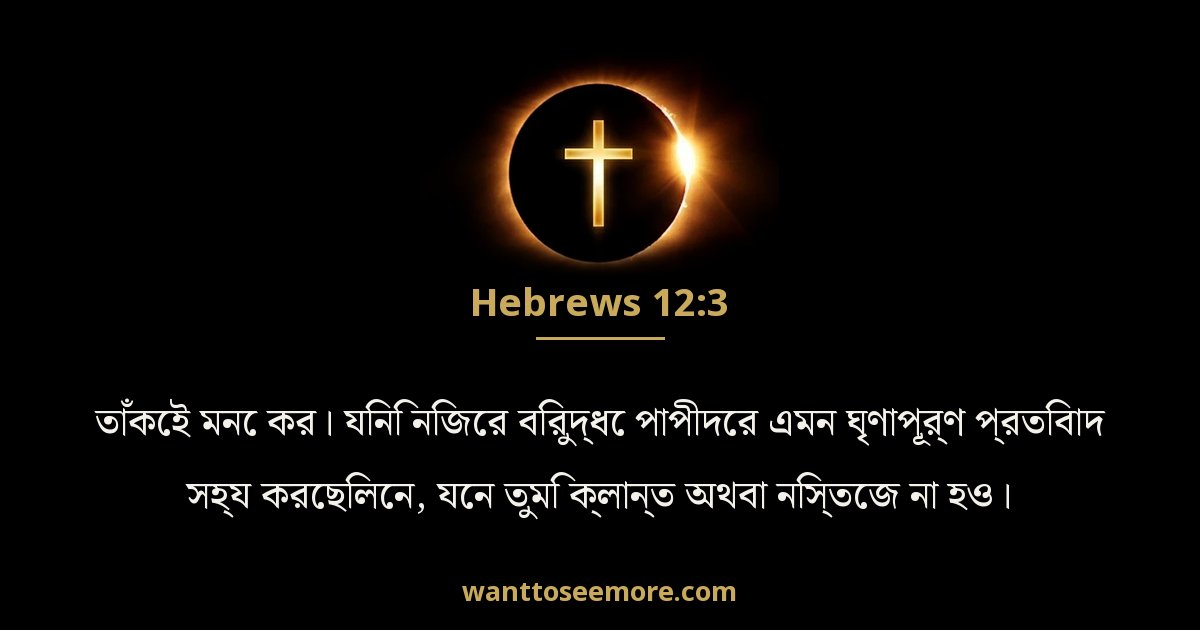 Hebrews 12:3