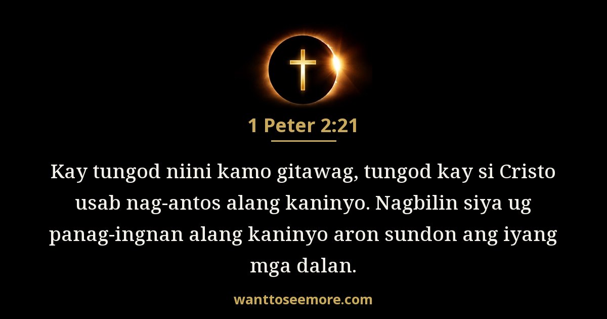 1 Peter 2:21