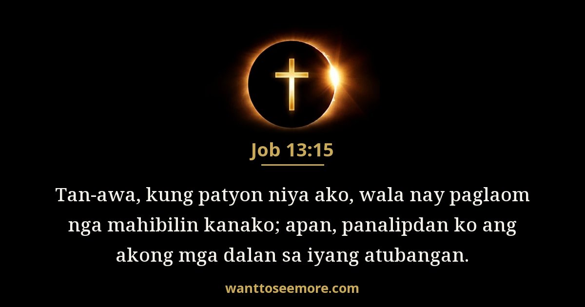 Job 13:15