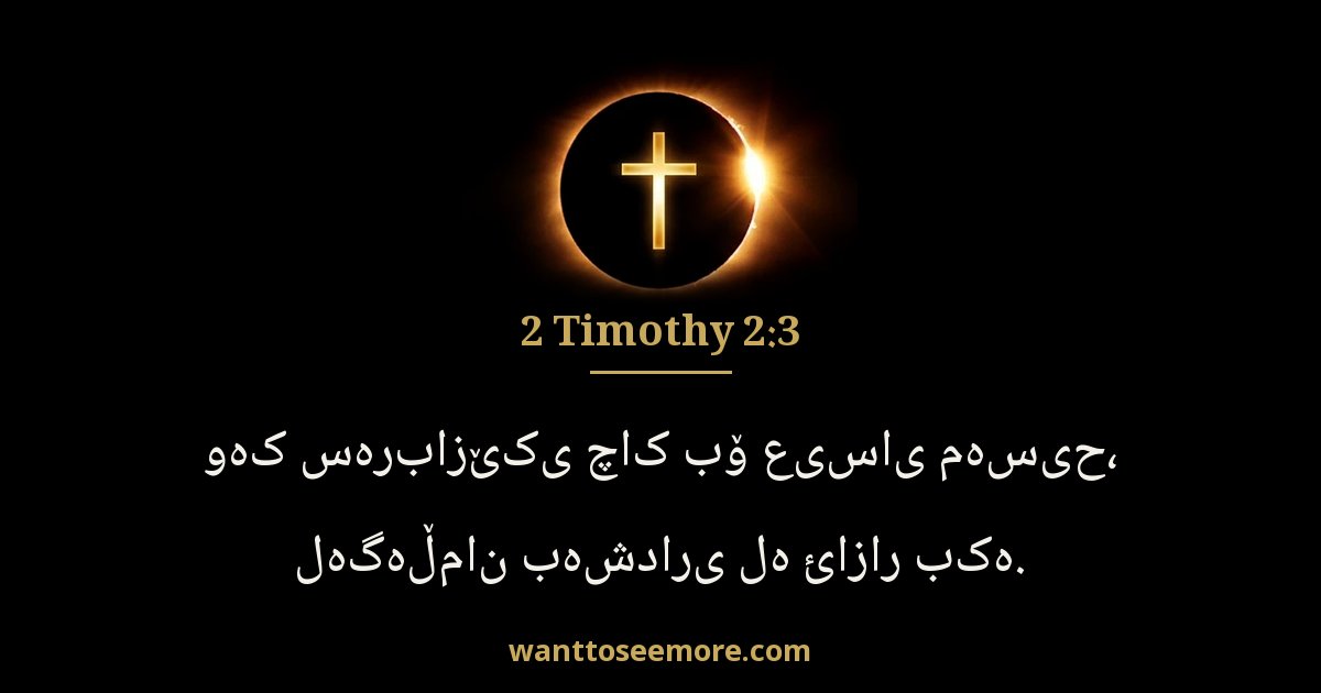 2 Timothy 2:3