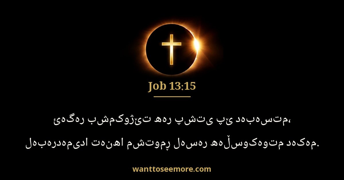 Job 13:15