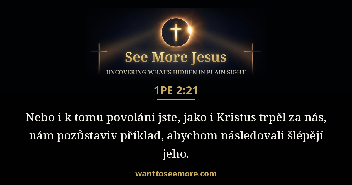 1 Peter 2:21