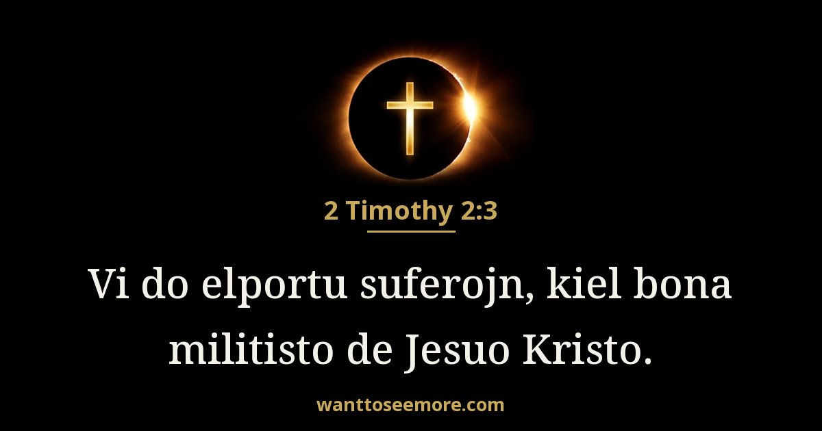 2 Timothy 2:3