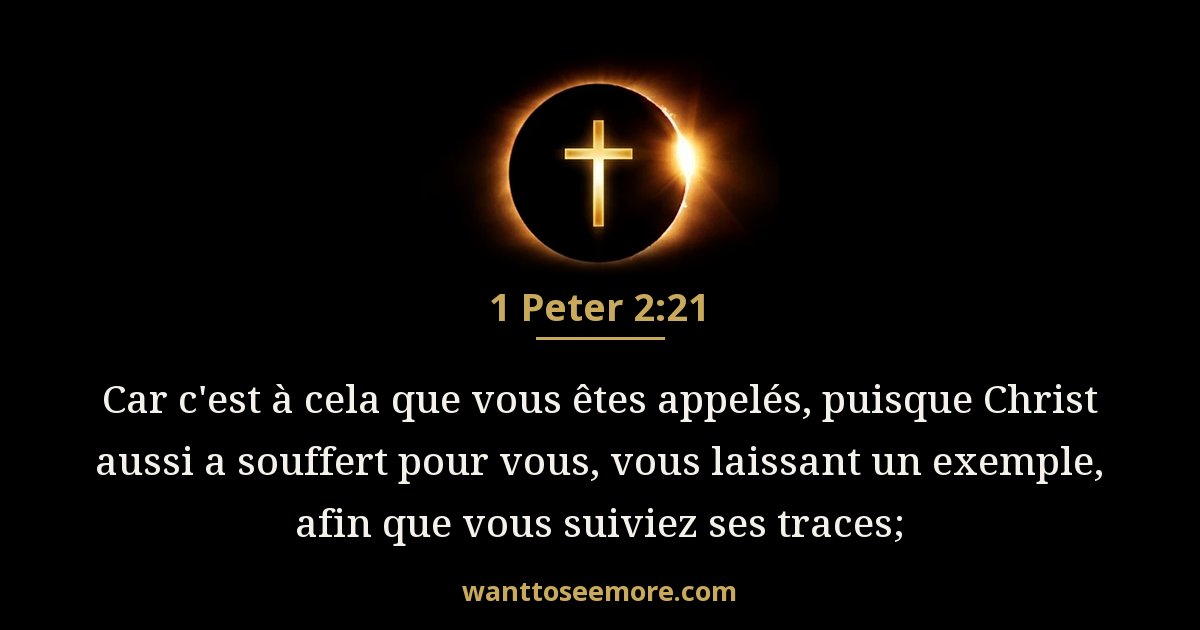 1 Peter 2:21