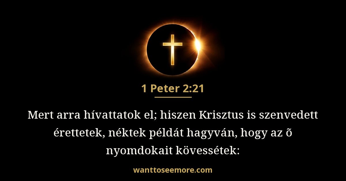 1 Peter 2:21