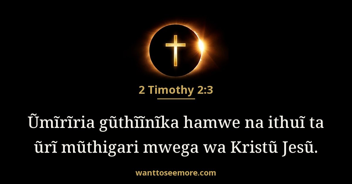 2 Timothy 2:3