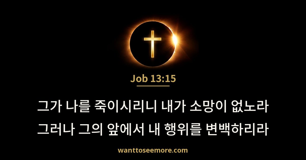 Job 13:15
