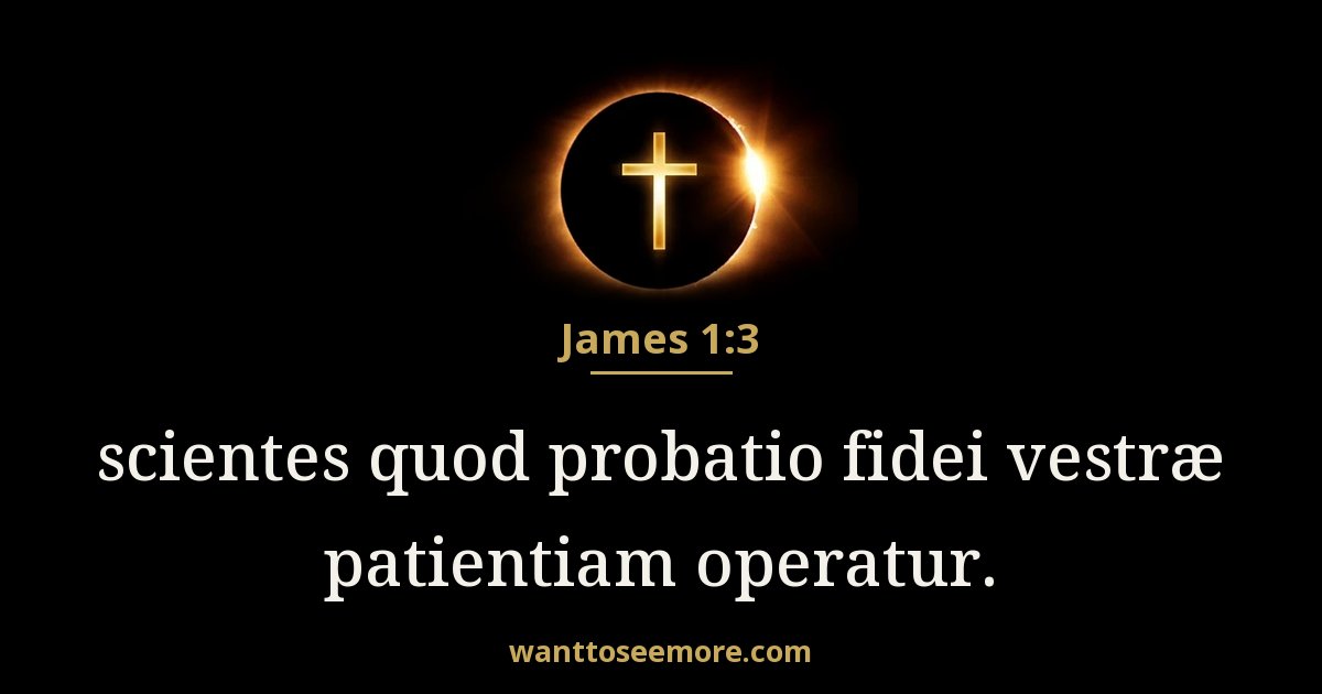 James 1:3