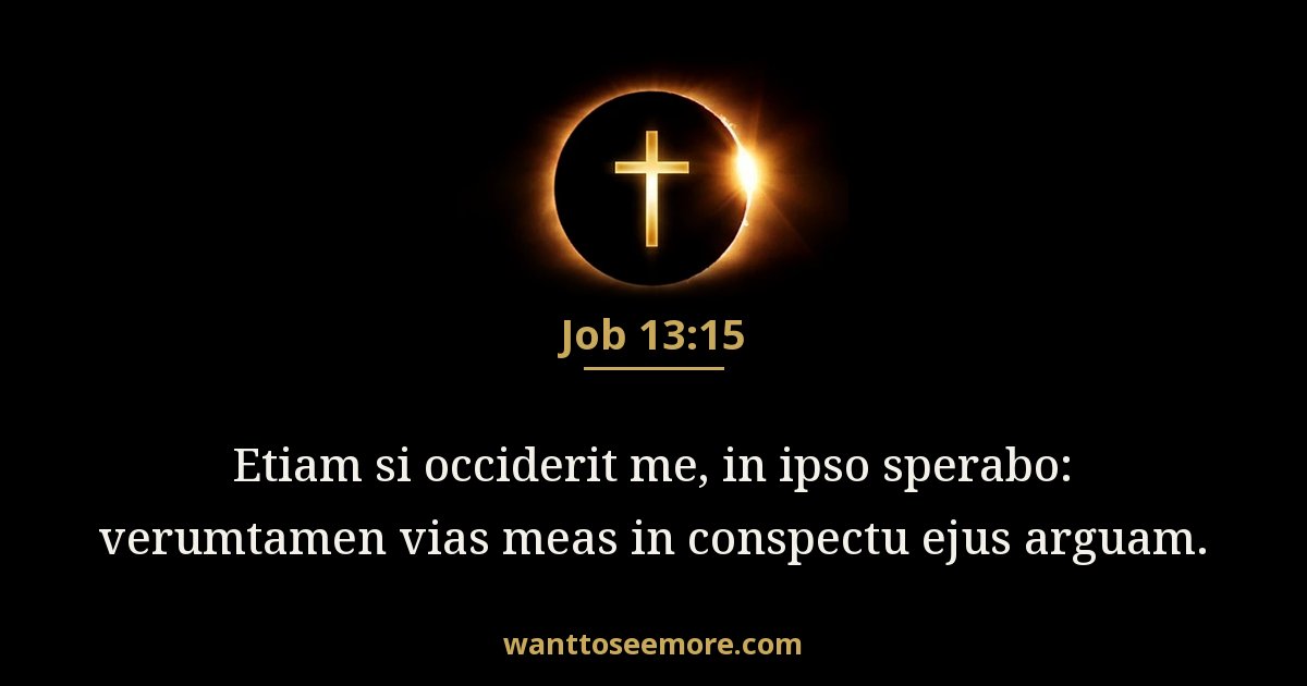 Iob 13:15