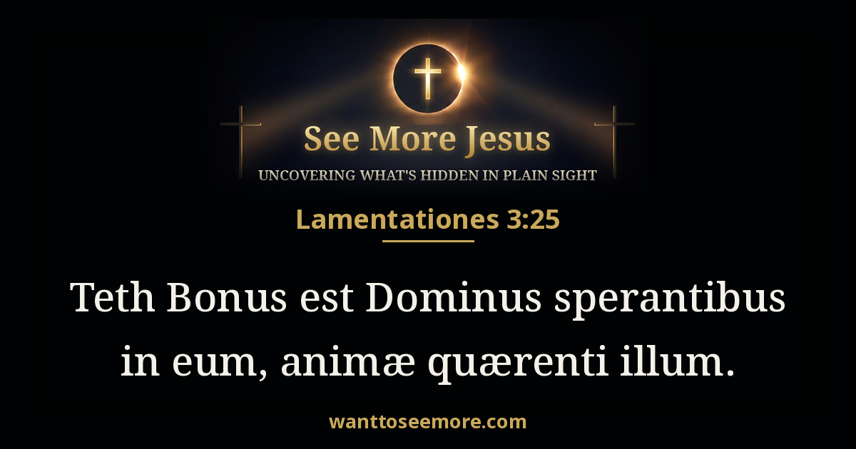 Lamentations 3:25