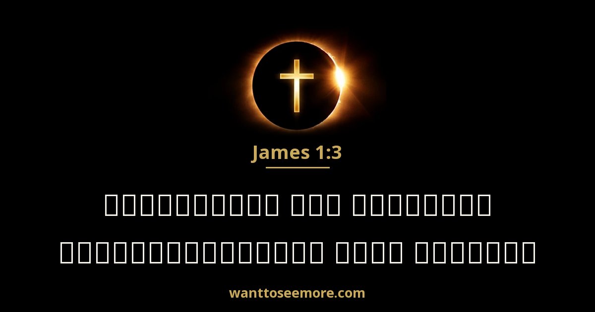 James 1:3