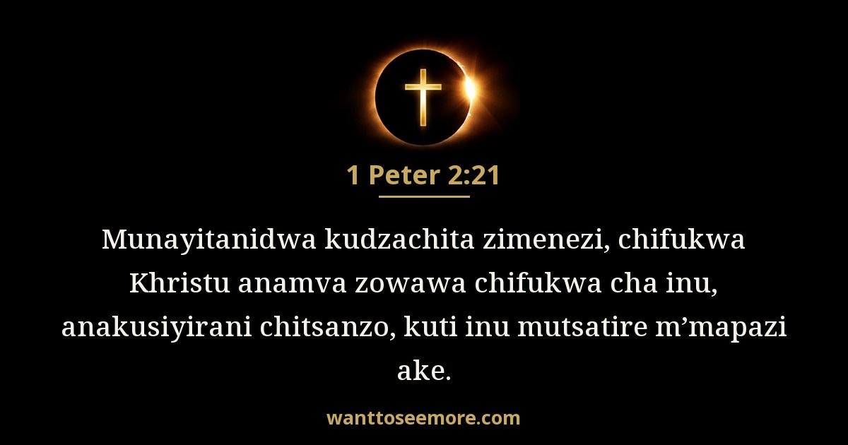 1PE 2:21