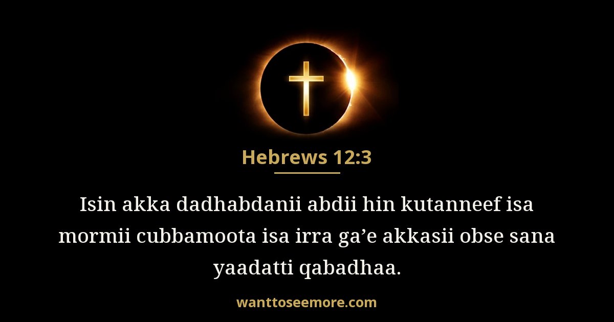 Hebrews 12:3