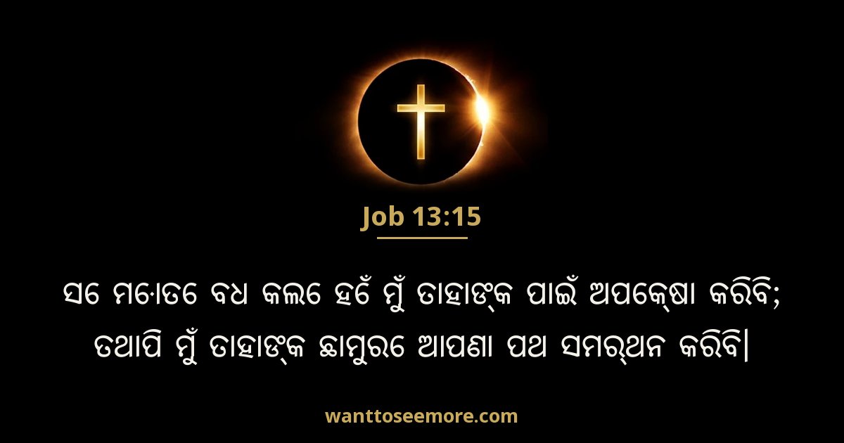 Job 13:15