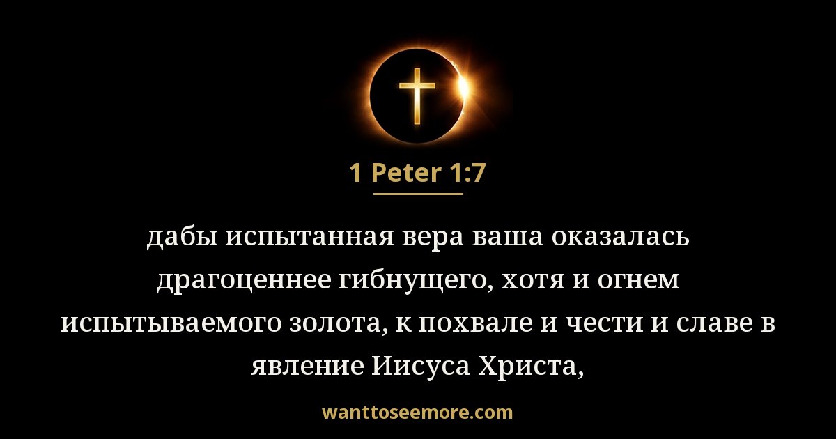 1PE 1:7