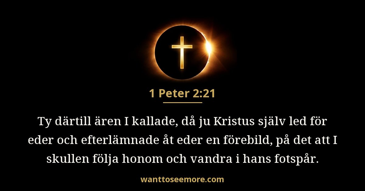 1 Peter 2:21