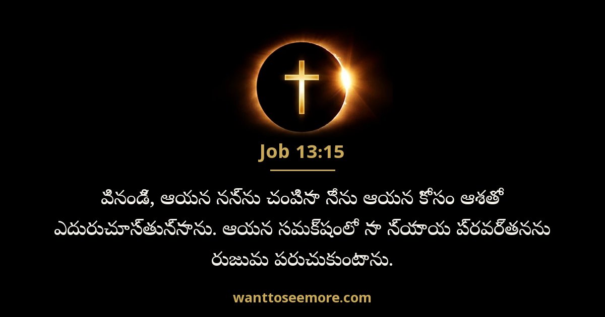 Job 13:15