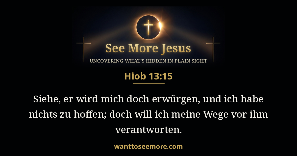 Job 13:15