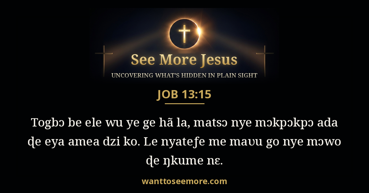 Job 13:15