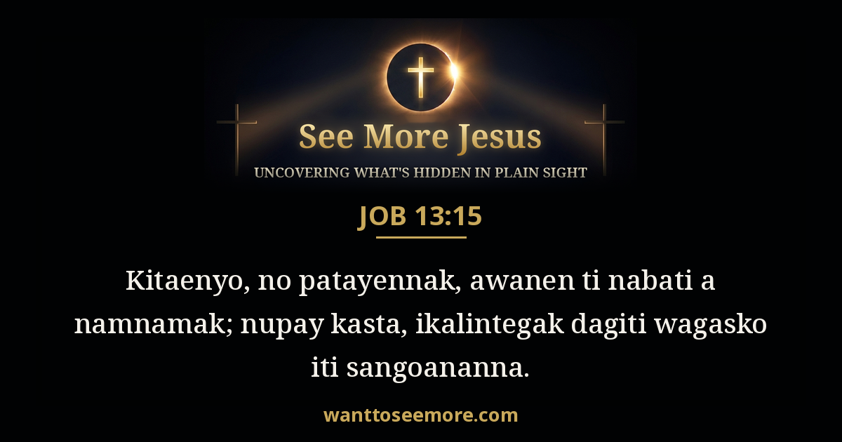 Job 13:15