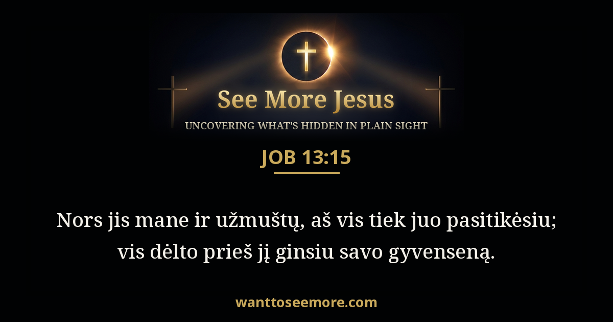 Job 13:15