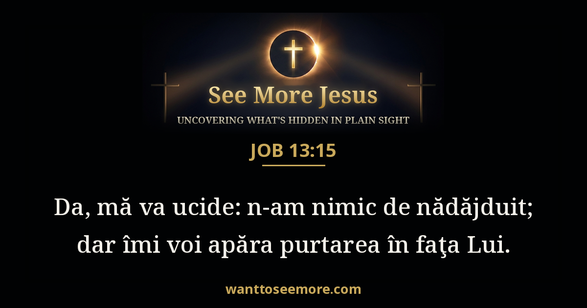 Job 13:15