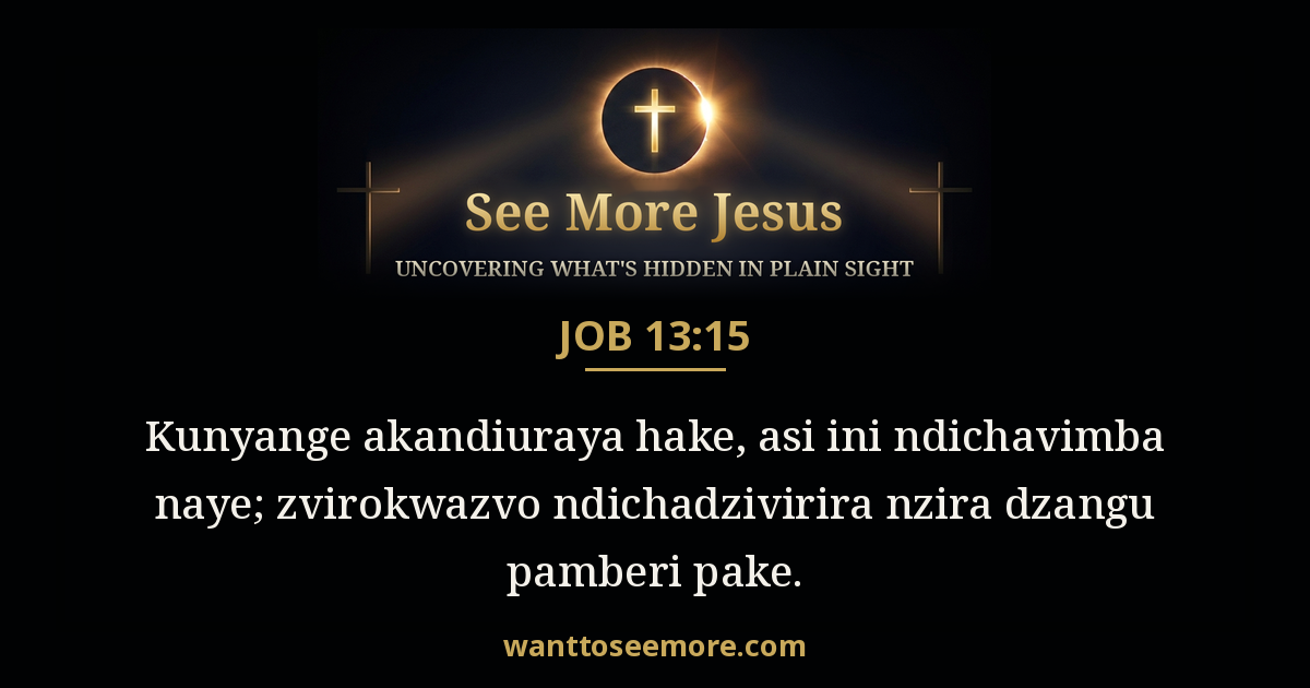 Job 13:15