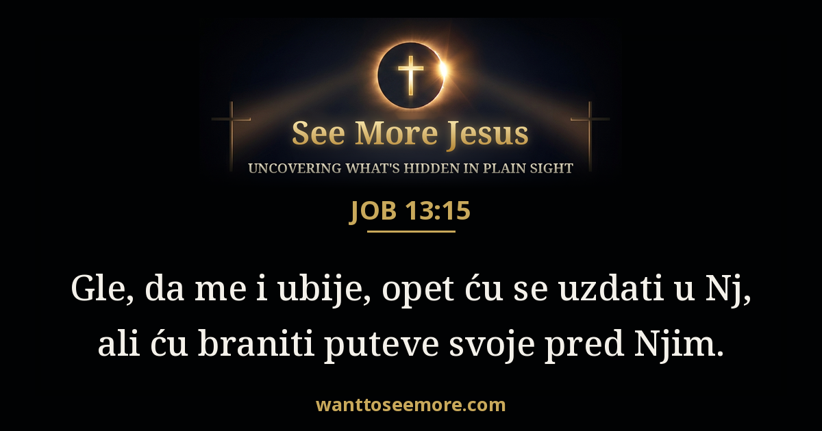 Job 13:15