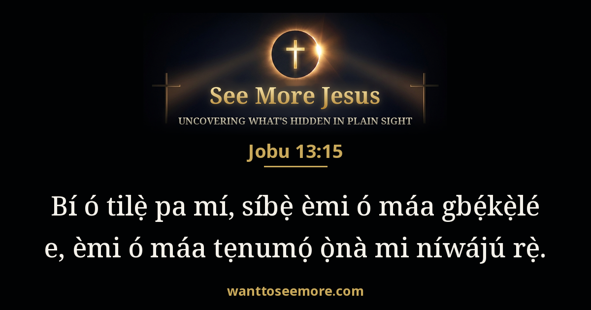 Job 13:15