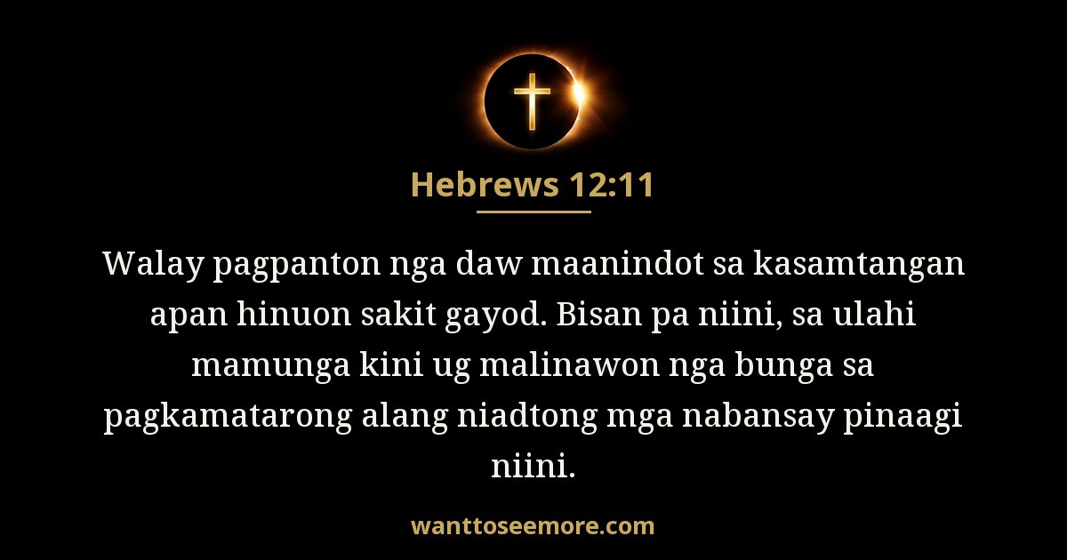 Hebrews 12:11