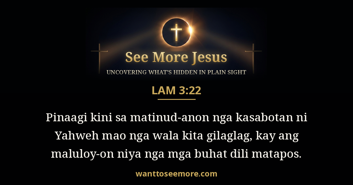 Lamentations 3:22
