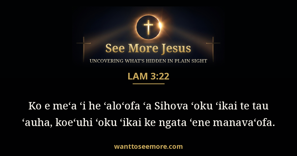 Lamentations 3:22