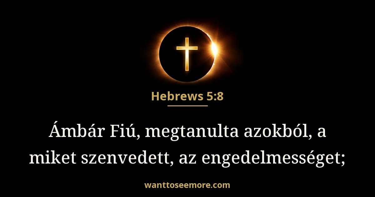 Zsidók 5:8