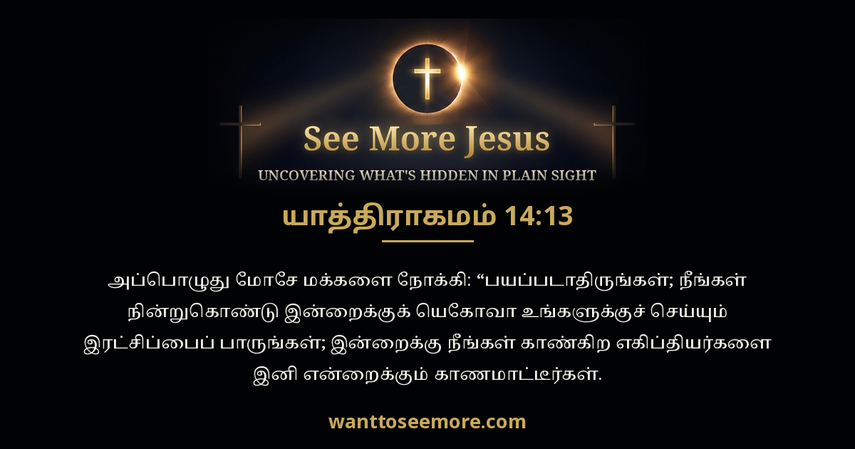 யாத்திராகமம் 14:13