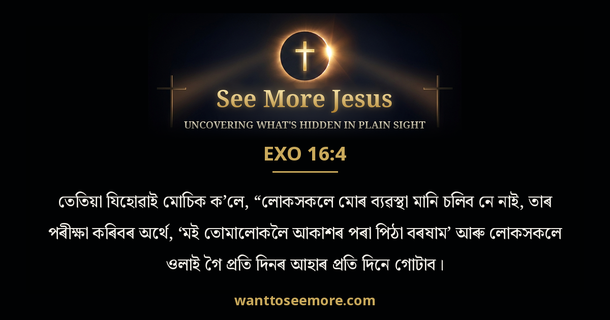 Exodus 16:4