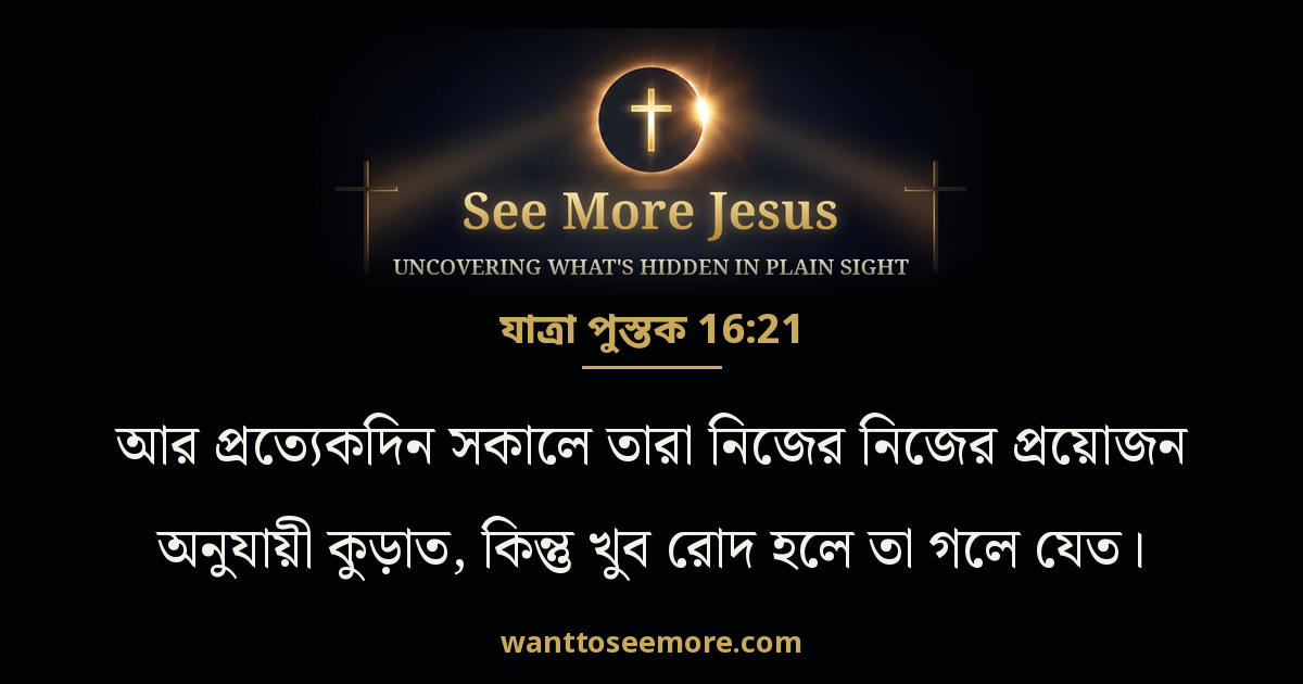 Exodus 16:21