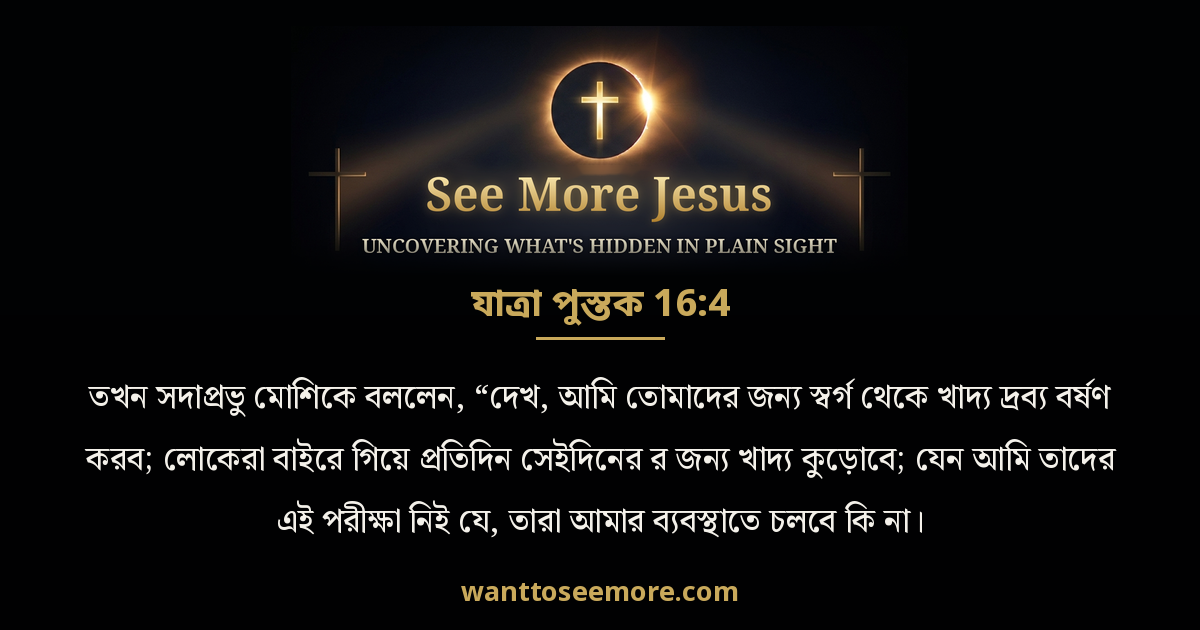 Exodus 16:4