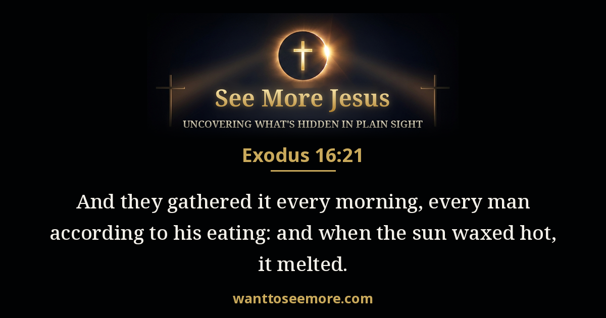 Exodus 16:21