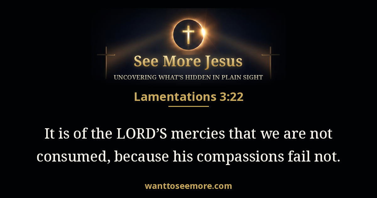 Lamentations 3:22