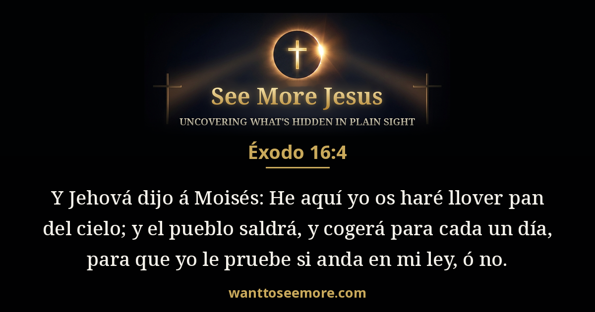 Exodus 16:4
