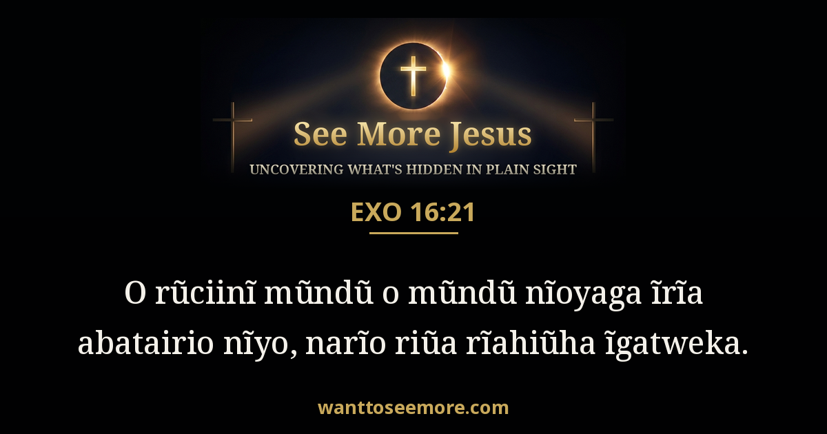 Exodus 16:21