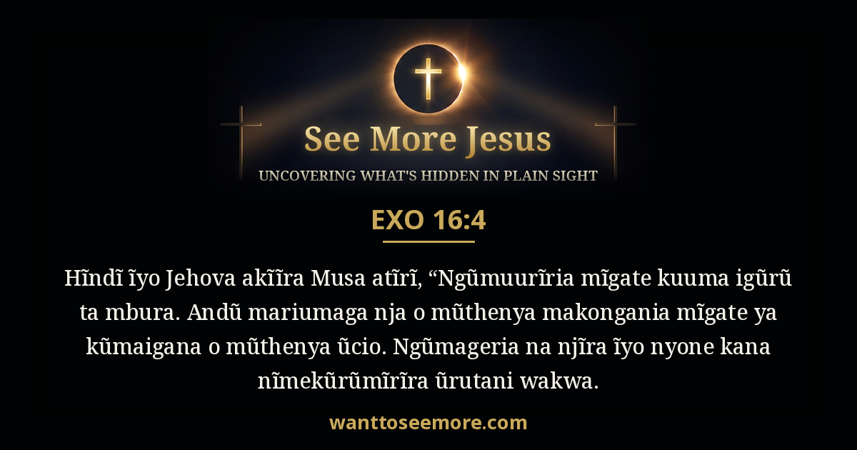 Exodus 16:4