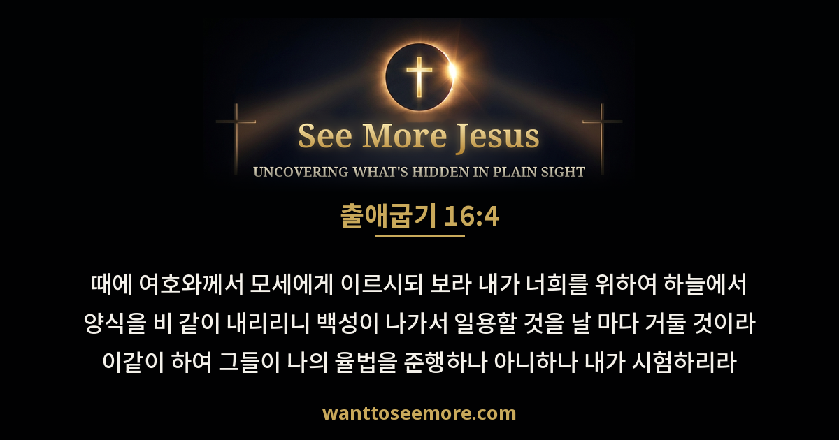 Exodus 16:4