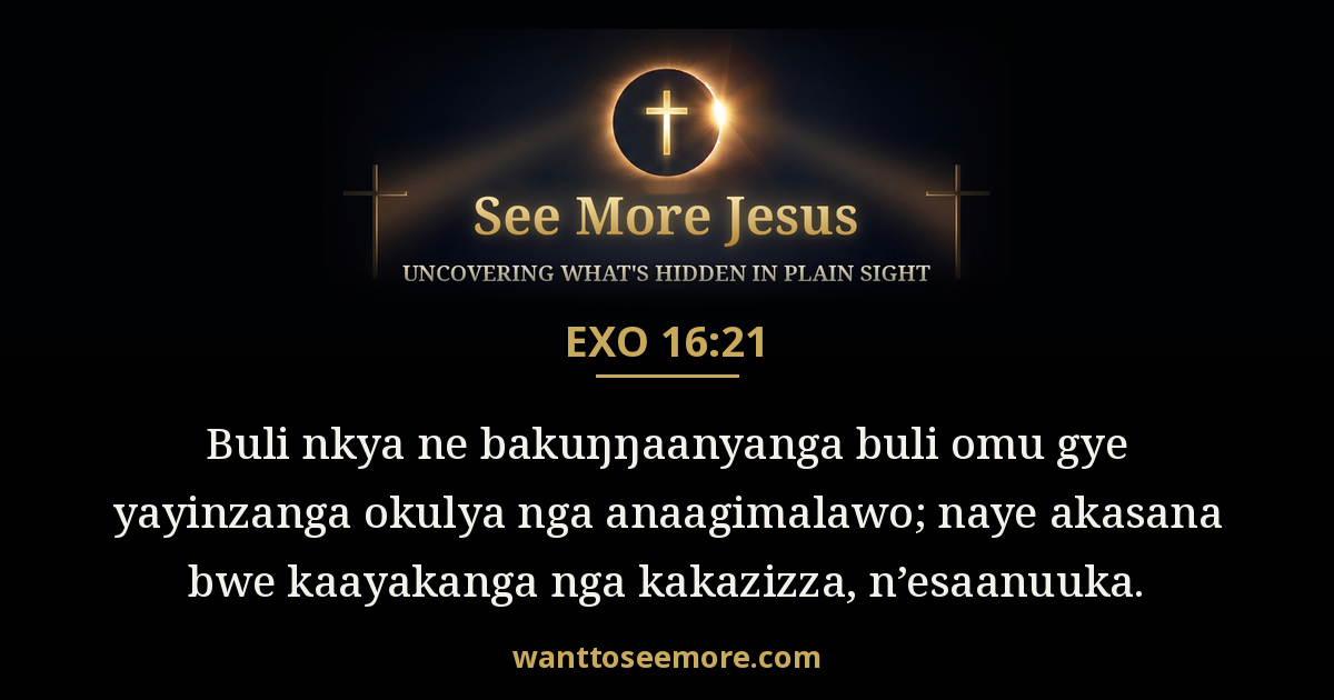 Exodus 16:21
