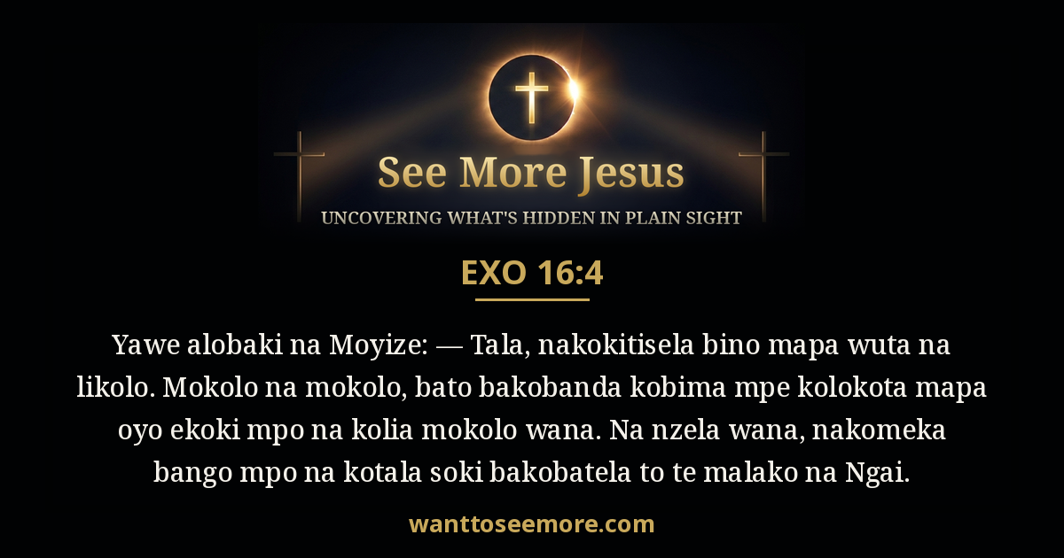 Exodus 16:4